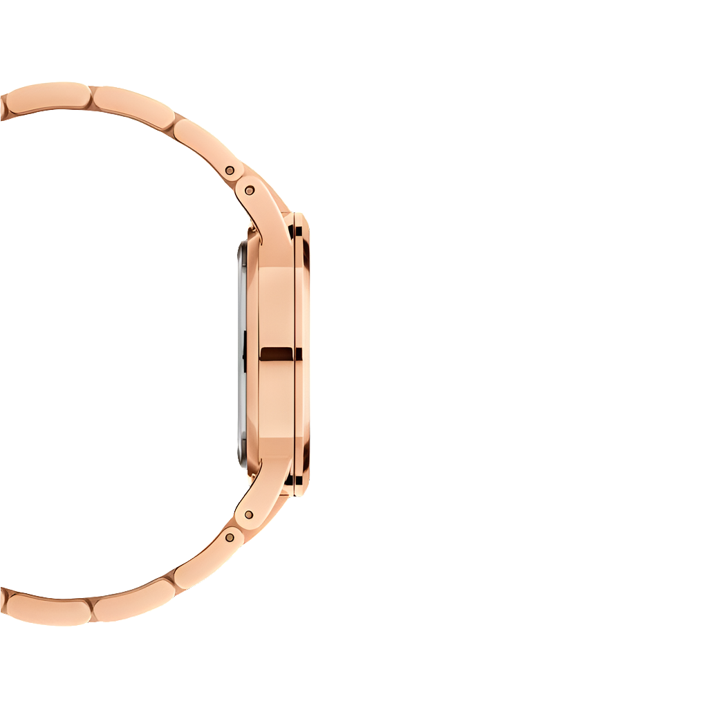 DW Iconic Link – Montre Homme - Image 6